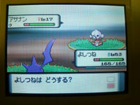 ★アサナンと無自然遭遇