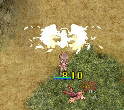 88歳になりました