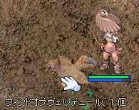 風原石集め