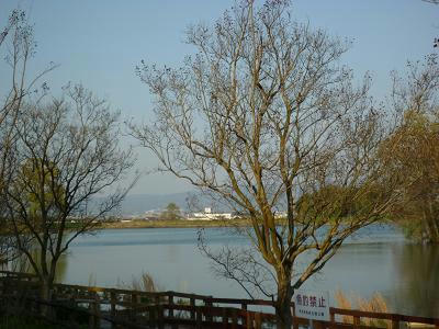P1000096.jpg