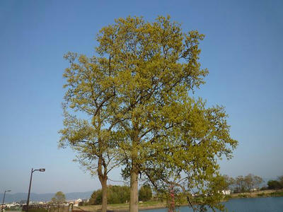 P1000100.jpg