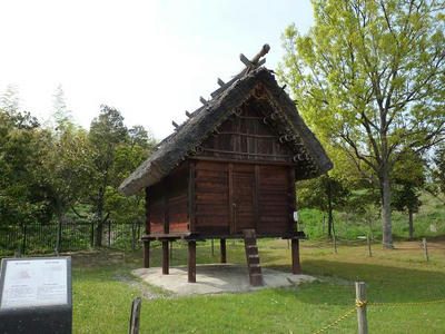 P1000167.jpg