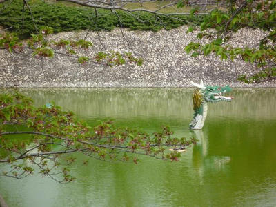 P1000175.jpg