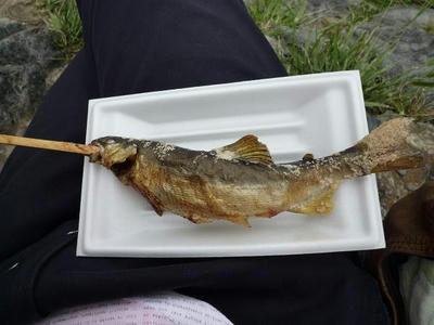 P1000264.jpg
