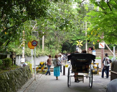 P1000272.jpg