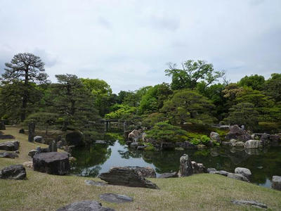 P1000299.jpg
