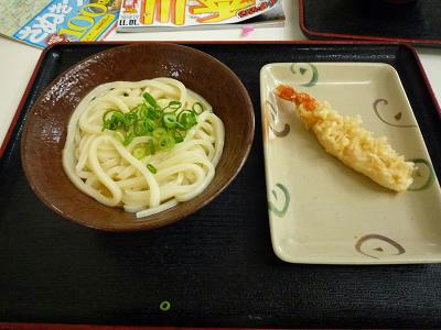 P1010372.jpg