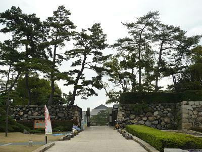 P1010383.jpg