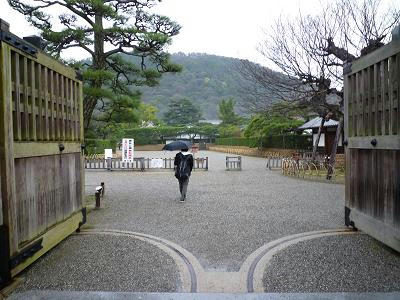 P1010436.jpg