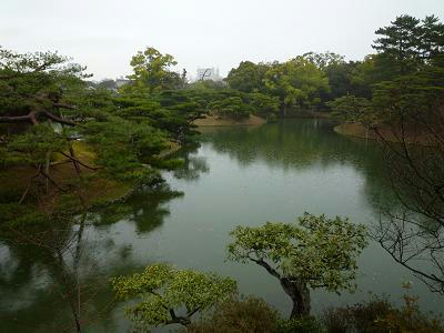 P1010468.jpg