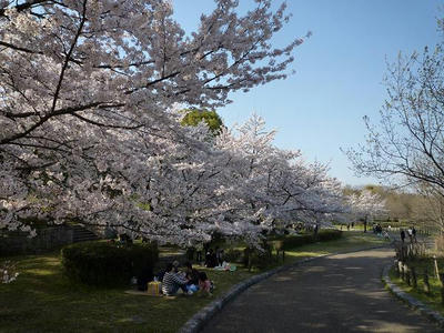 P1010839.jpg