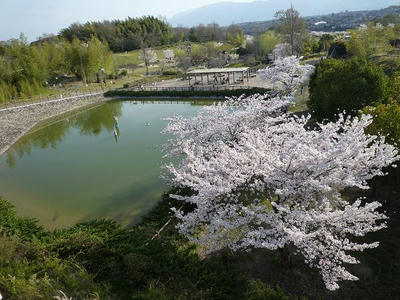 P1010848.jpg