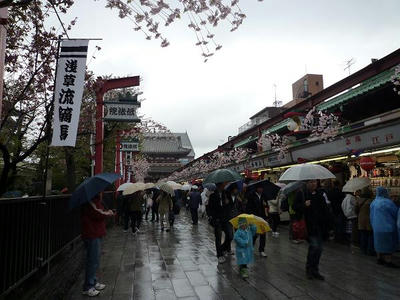P1010886.jpg