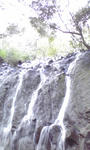 100403_1621~01.jpg