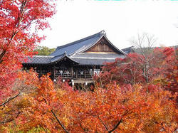 toufukuji