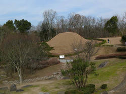 P1000013.jpg