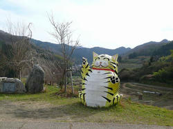 P1000026.jpg