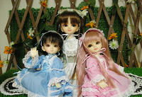 ダウトを探せ。