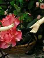 その勢いたるや、止まるところ知らず。