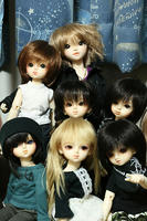 前の子ピンボケた。