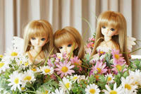 画像処理ではない。