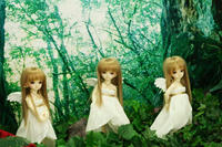 背景に合うね！