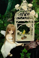 やっぱりこの籠が姉妹そろってすき。