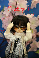 昔のバカ写真。