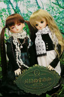 プレートで証明してみる。