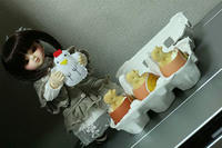 ヒヨコプリン。