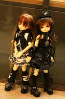 行ってきたの。