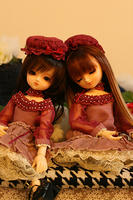 関係ない写真。