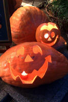 このあと捨てちゃうのかな？