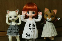 猫、ネコ、ねこ？？