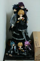 ダンボールｗｗ