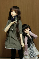 仲良しなはず姉妹。