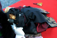 撮ってきたよ。