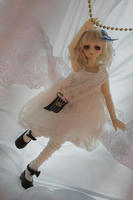 DSCF0322.JPG