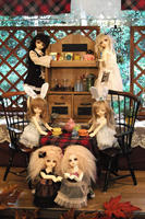 DSCF0366.JPG
