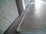 PAP_0241.JPG