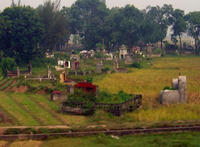 田んぼの中の墓