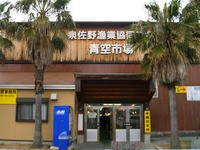 泉佐野漁港　青空市場３