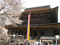 吉野桜蔵王堂