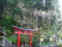 下千本　幣掛神社
