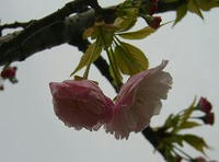 造幣局３