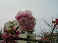 造幣局4