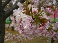 造幣局６