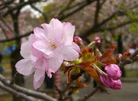 造幣局7