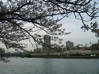 源八橋1