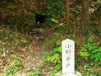 小判井戸